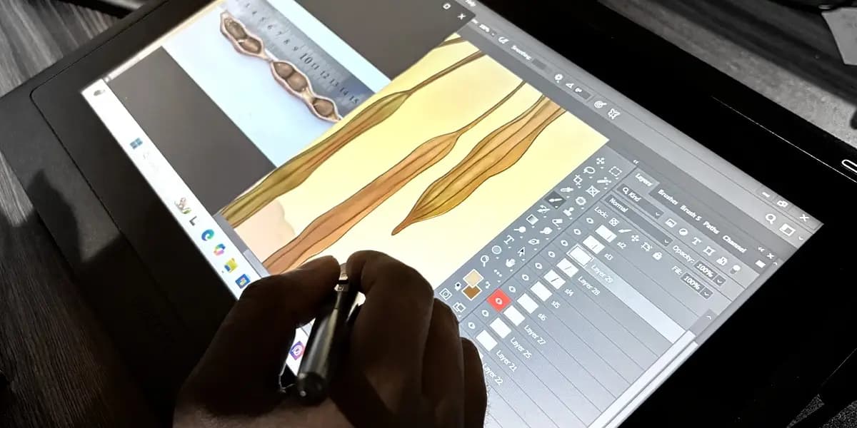 Animation 3D Animation