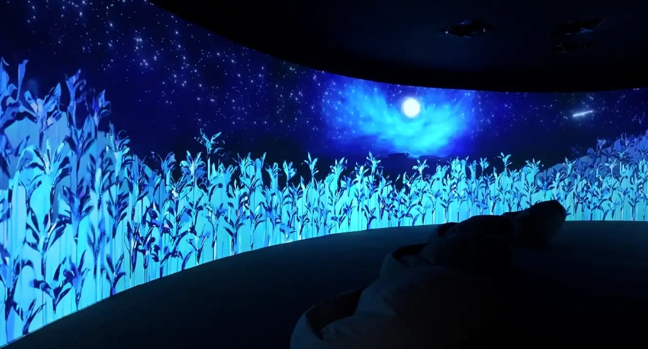 Projection Mapping Services