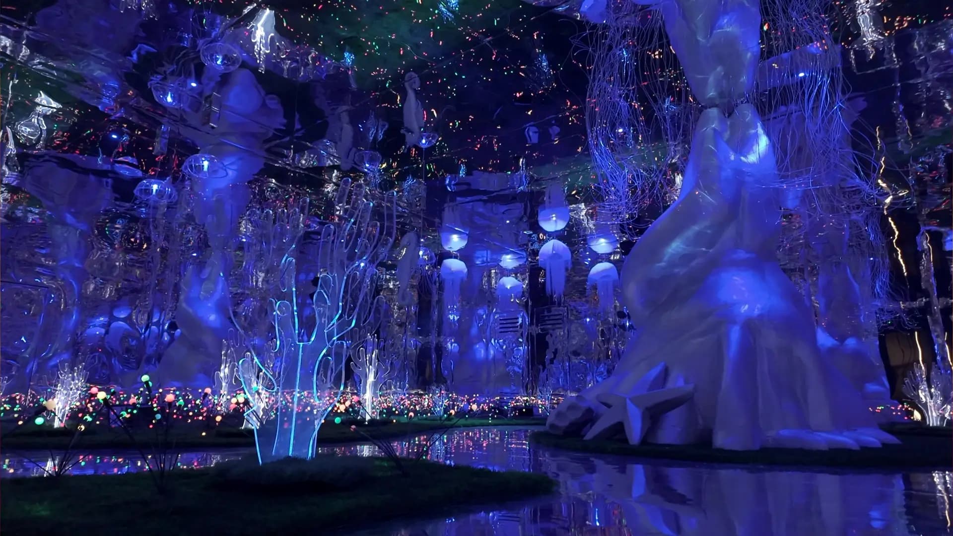 Immersive experince Company